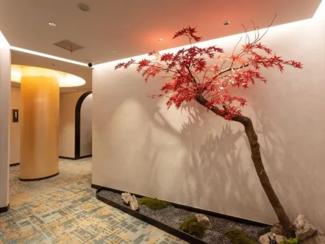 Hotel rooms