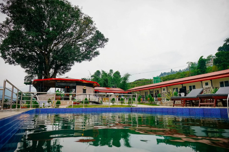Alfanzoo Resort