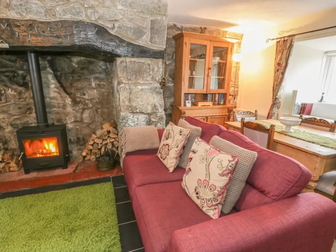 Plas Arenig