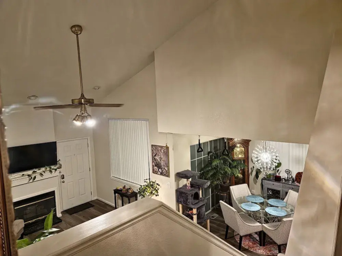 Casa de gato
