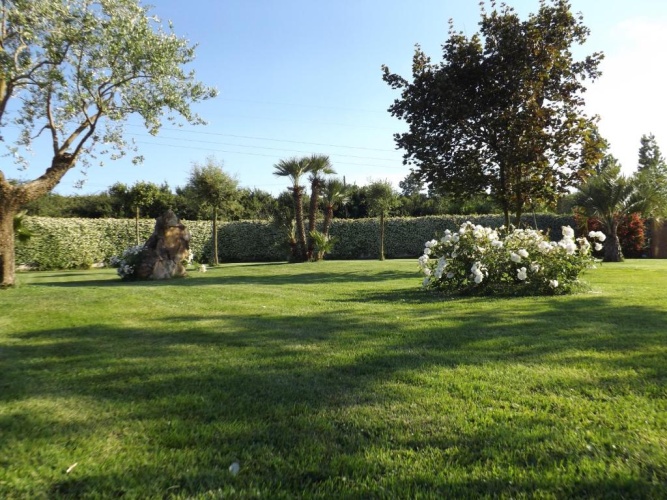 Double Villa with garden view