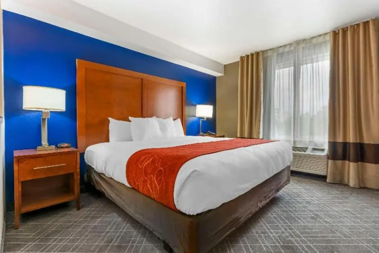 Business Single Suite