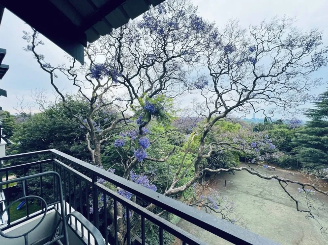 1 Bedroom Apartment with balcony