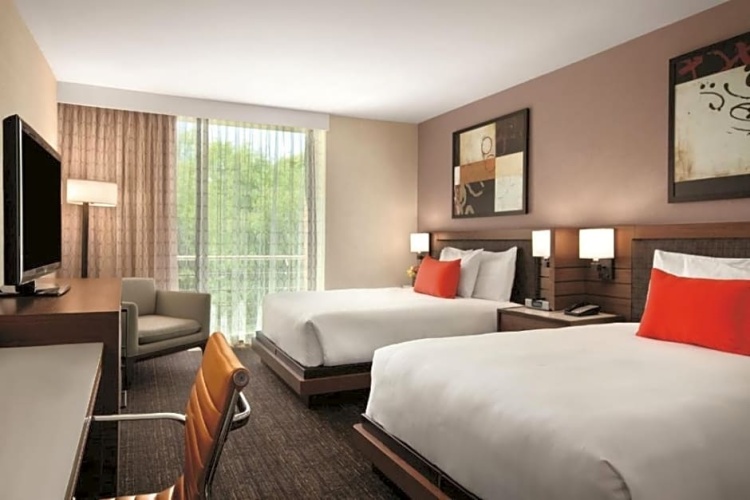 Pure Hypoallergenic Room Quadruple room