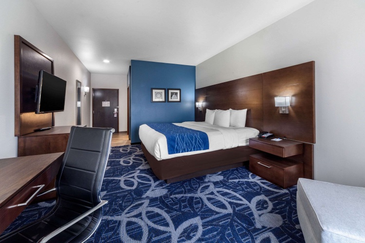 Standard Double room