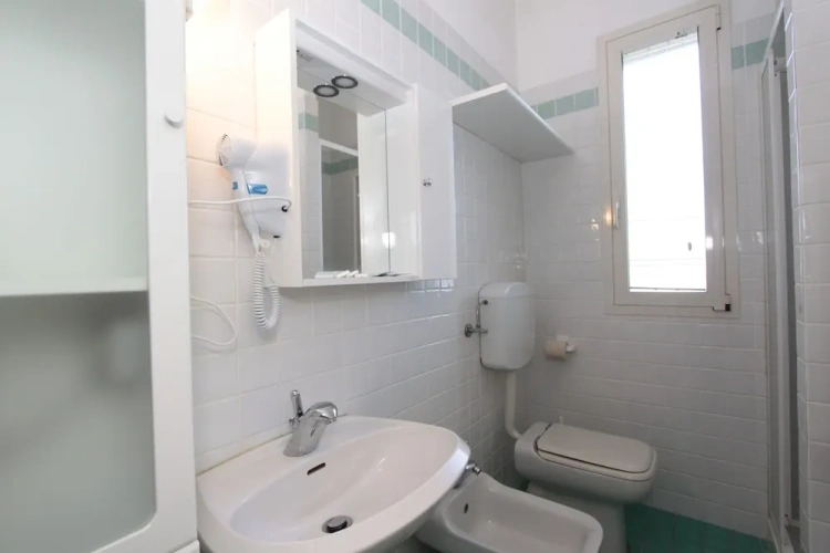 Classic Apartment