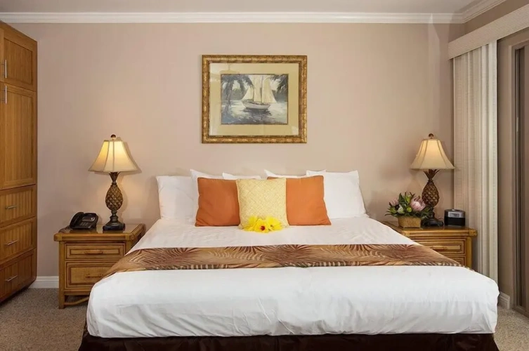 1 Bedroom Standard room with view