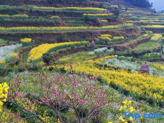 Jiangling Scenery Inn