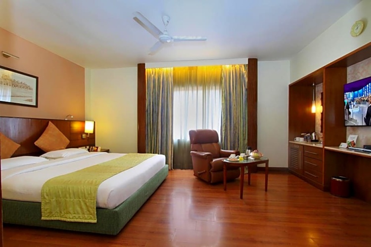 Deluxe Suite