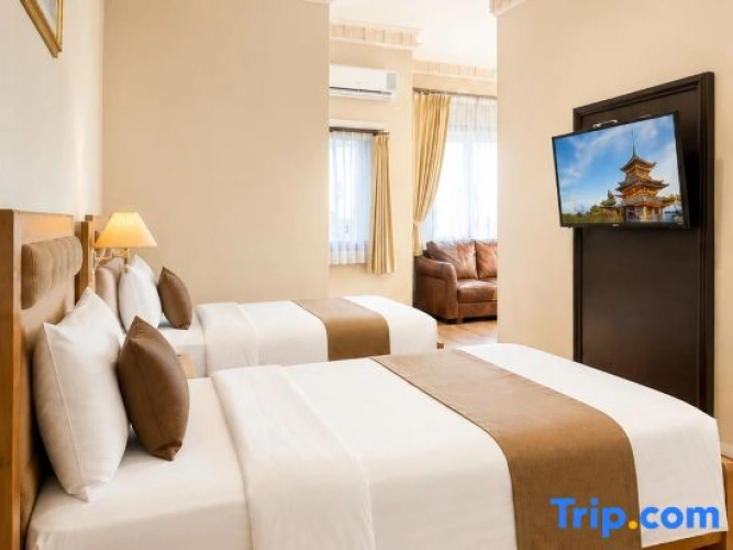 Deluxe Twin room