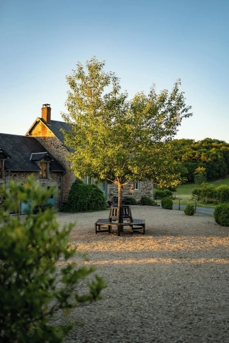 Comfort Cottage