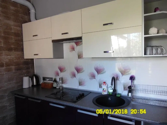 1 Bedroom Apartment with view