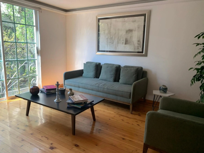 Rooftop Penthouse Lamartine Polanco