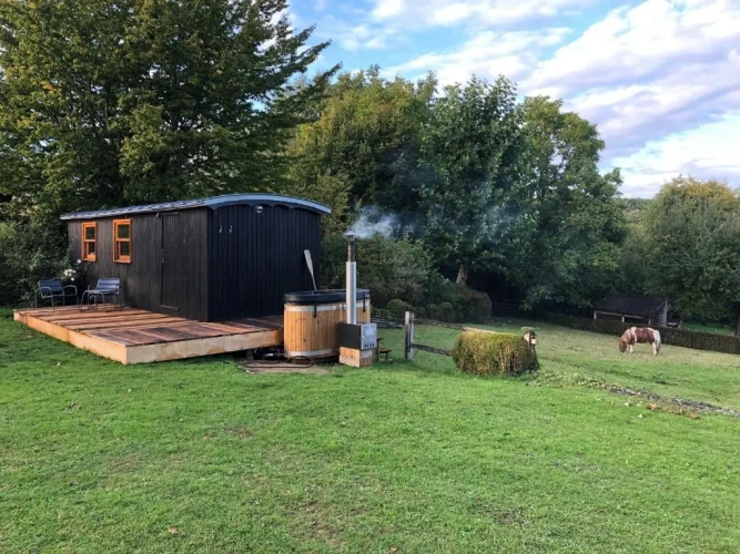 Standard Quadruple room with garden view