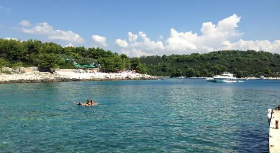 Villa Agnić