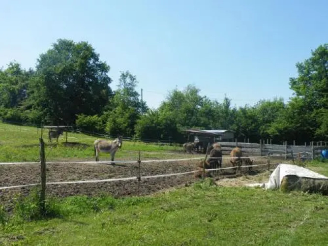 Agriturismo Al Bachero