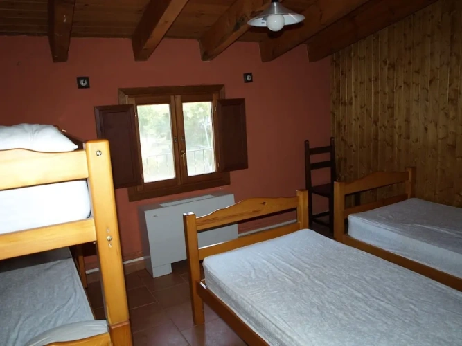 Standard Twin room with view