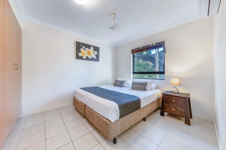 Oasis 26