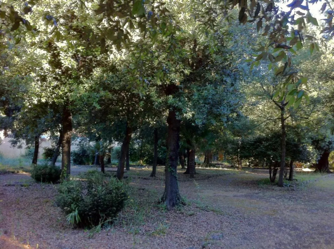 Agriturismo Villa Graziani