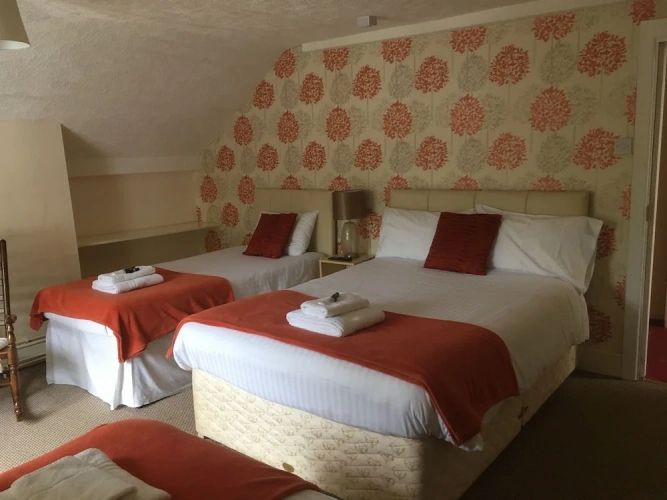 Standard Single room