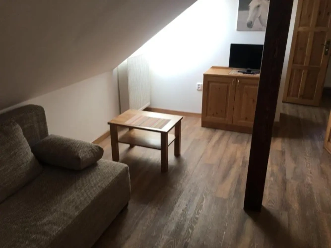 1 Bedroom Suite
