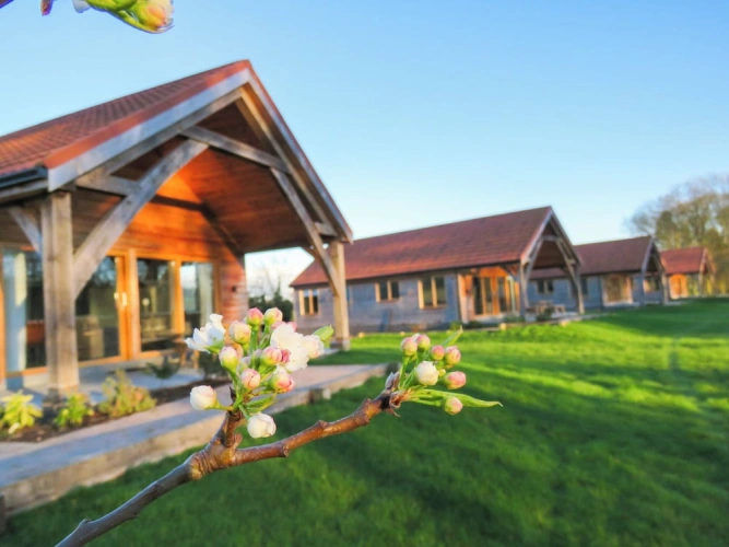 3 Bedrooms Family Cottage