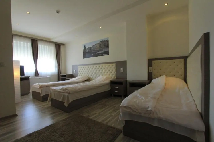Standard Triple room with view