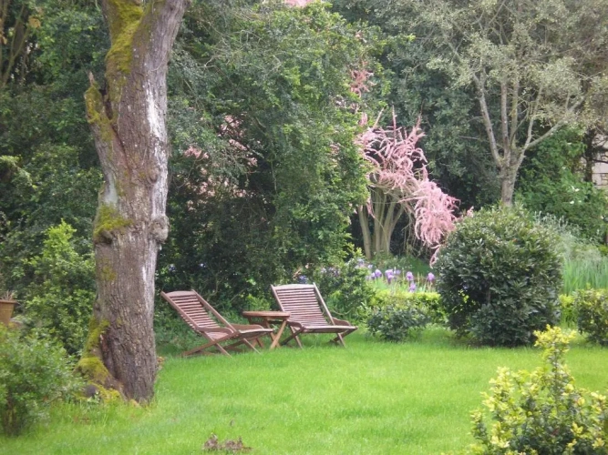 Deluxe Double room with view