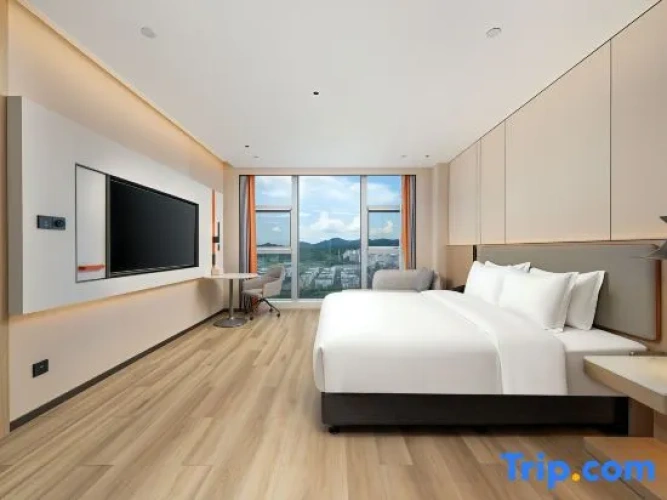 1 Bedroom Suite