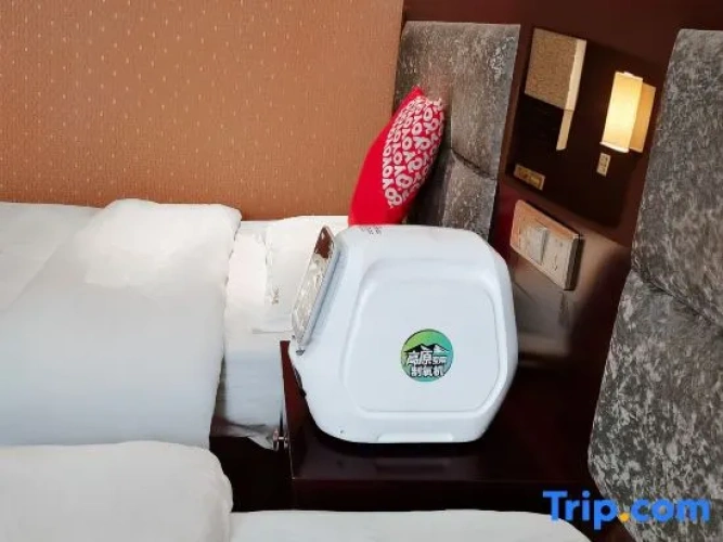 Standard Double room with mountain view