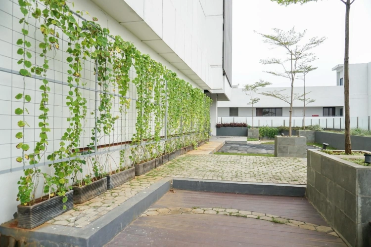 Outside
