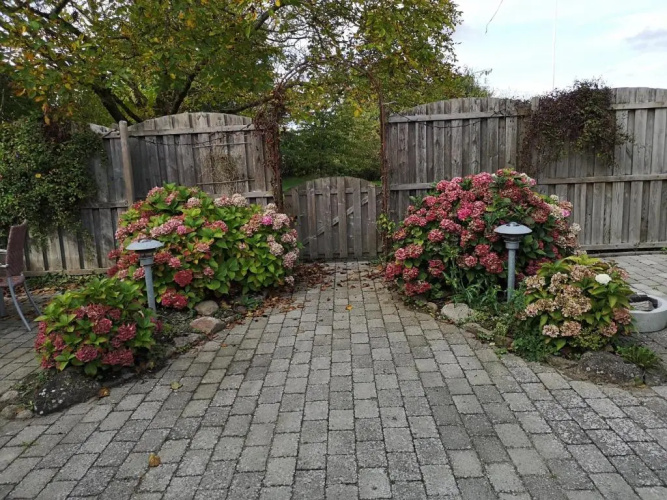 Safine B&B