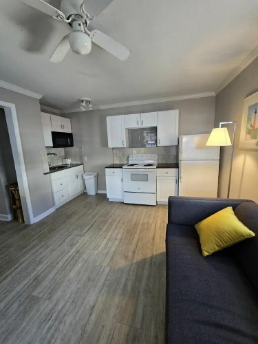 1 Bedroom Apartment