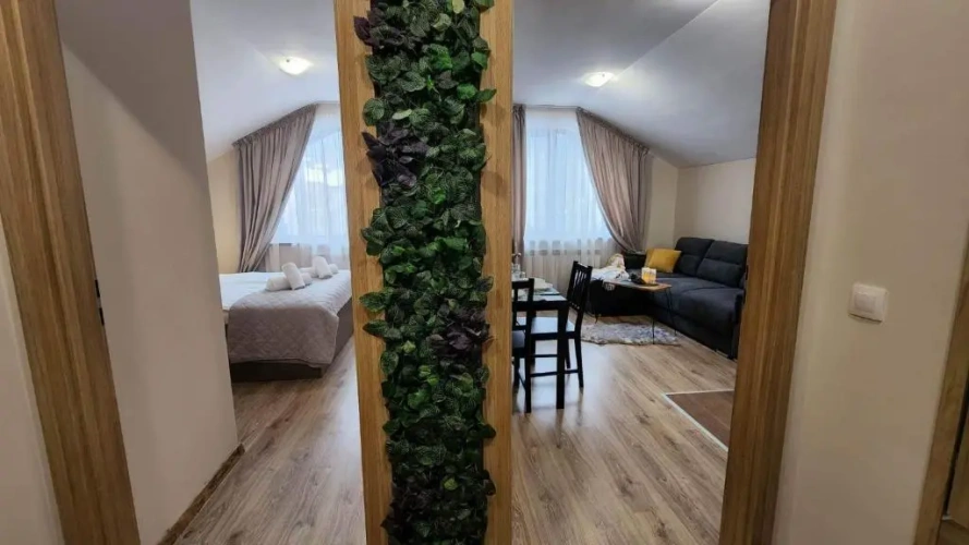 1 Bedroom Apartment