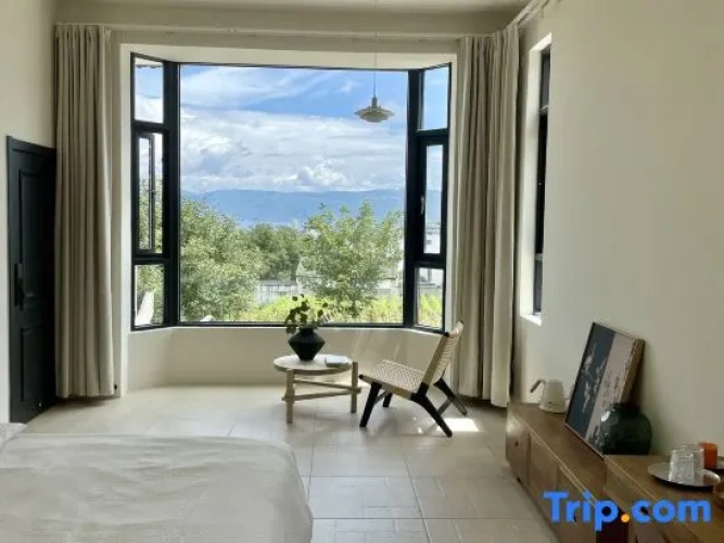 Standard Double room with view