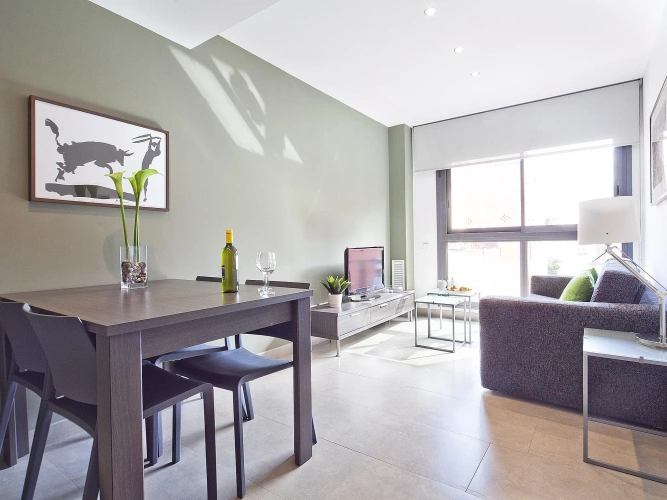 1 Bedroom Apartment