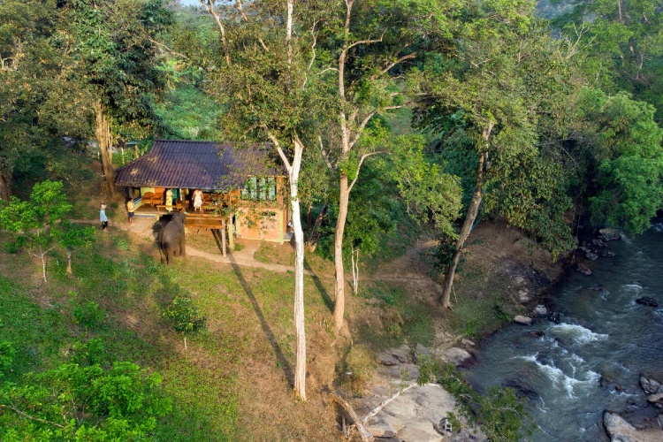 Family Bungalow