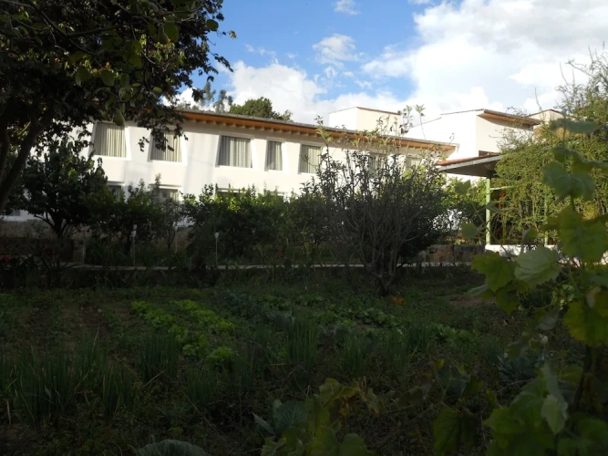 Superior Double room with garden view
