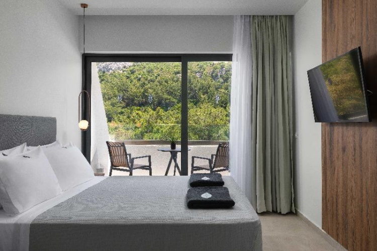 Deluxe Double room with garden view