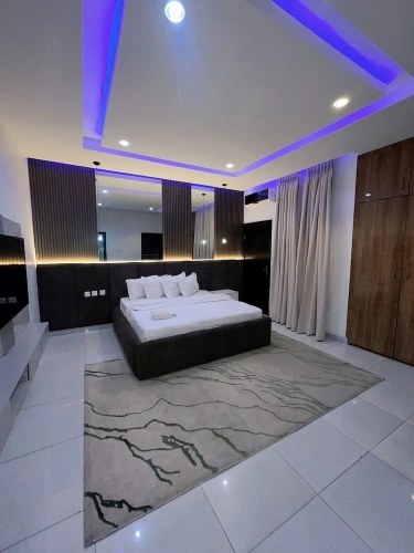 Luxury Apartment