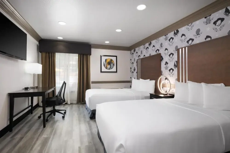 Single Suite