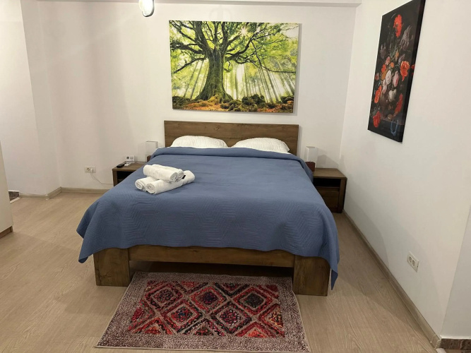 Central Studio Bucur