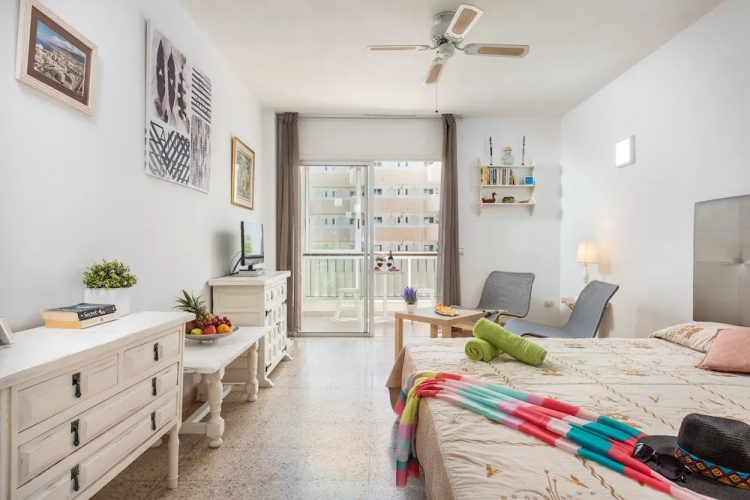530 Big Studio with Terrace