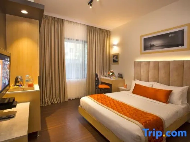 Premium Single room