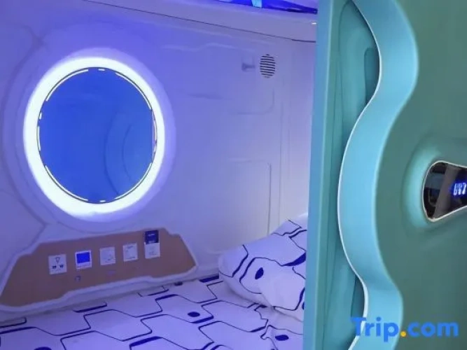 Business Capsule