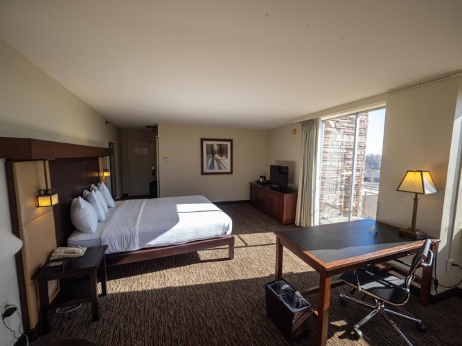 Deluxe Double room with garden view