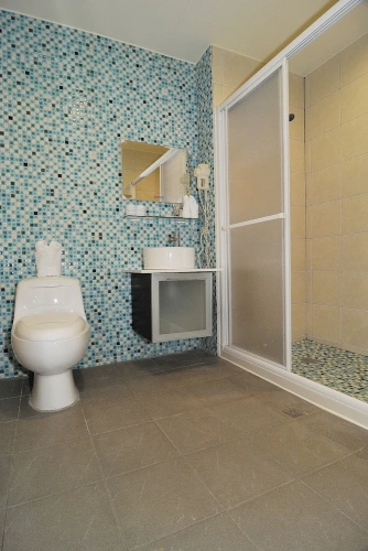 Standard Double room with balcony and with ocean view