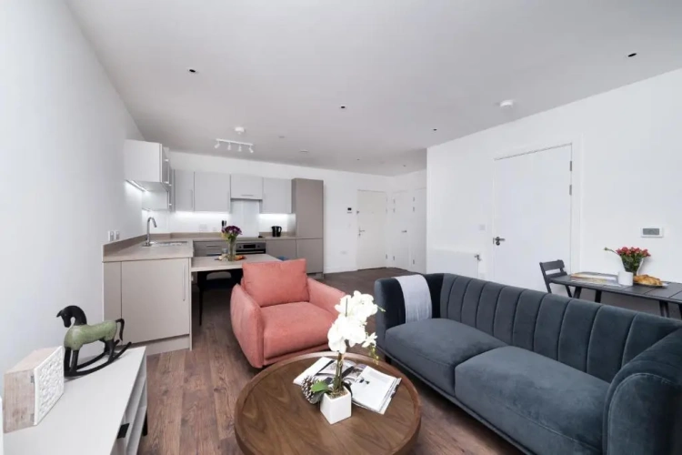 1 Bedroom Apartment
