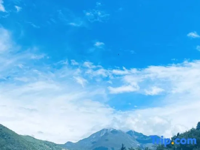 Outside