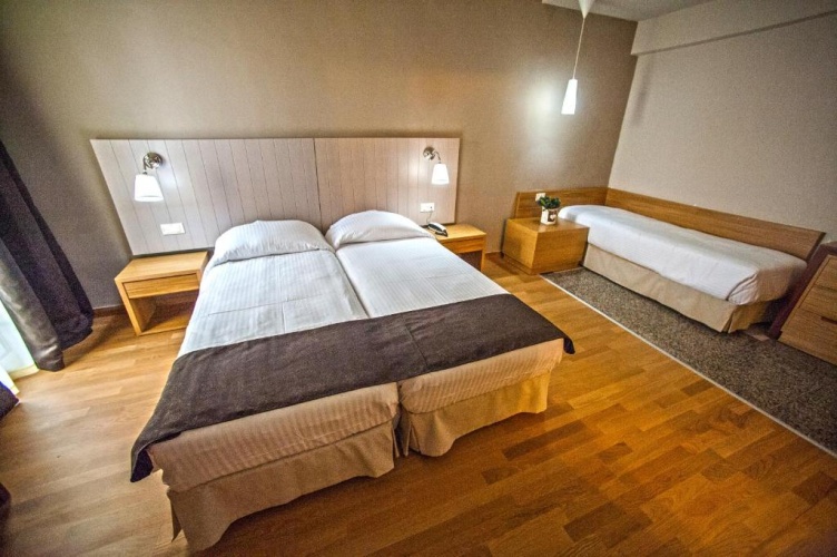 Deluxe Double room with balcony and with garden view